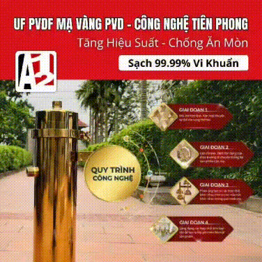 Màng UF mạ vàng pvd Hot trend không thể bỏ lỡ cho dịp Tết 2026