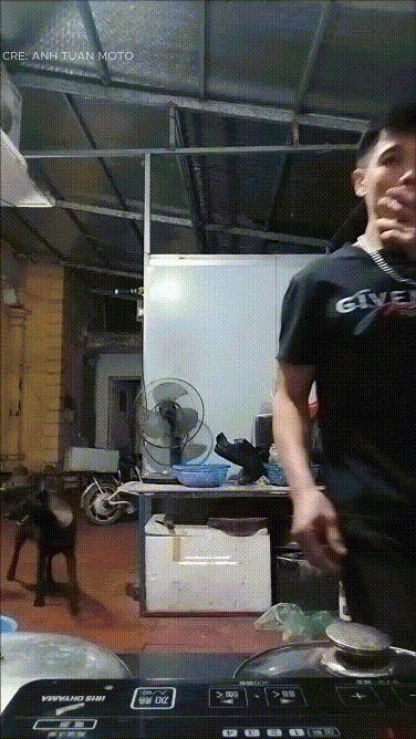 Mang củ riềng ra cho thầy :D con chó biết mang ra luôn!? :D