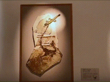 Đang ốm mà làm 1 shot ethi cũng tỉnh người. Bình thường là cơn thèm dữ mà sao lúc ốm nó dẹo hết...