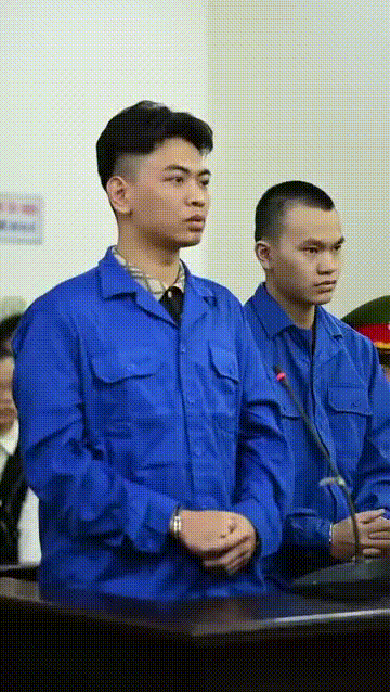 Video trực tiếp tại toà