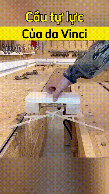 Cầu tự lực của Leonardo Davinci phát minh ra từ thế kỷ 15 :D