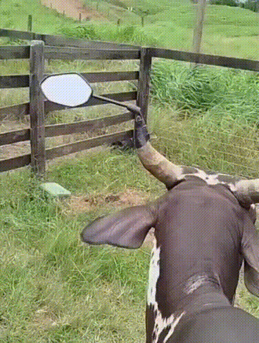 Vầy đi cho an toàn