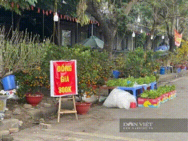 Giá 300K, 300K/ký. Ai mua không? :D