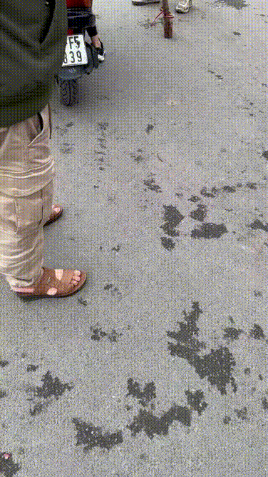 Bố của Duy Long đã chốt được cây đào 1 triệu 3 + 150K công chở :D