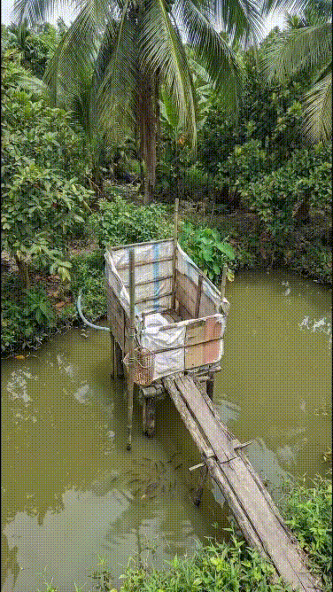 Này chắc Ây-Ai tài trợ quá mấy Anh, Chị, Em, lão lão...!!!