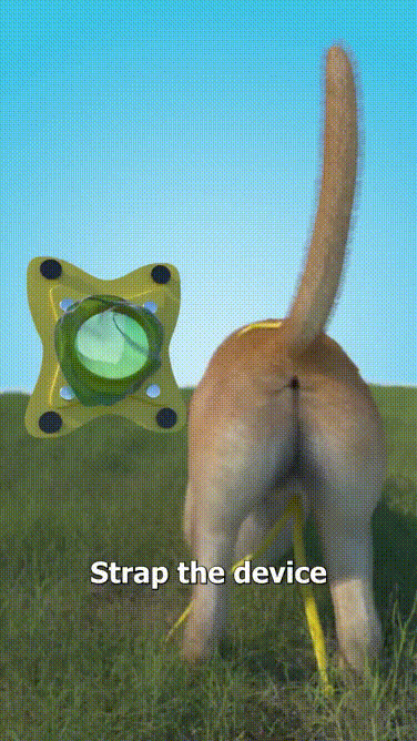 Dụng cụ hấng c*t chó tự động tuyệt vời nhất hiện nay, không cần chạm tay luôn