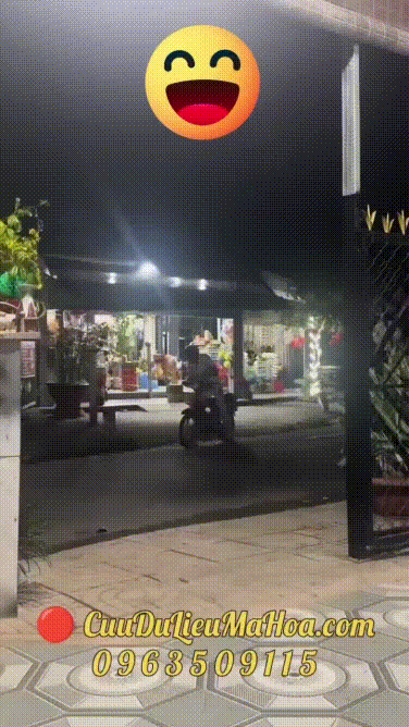 Gõ đúng chổ, đèn cháy, xe zọt...TÍNH TIỀN.