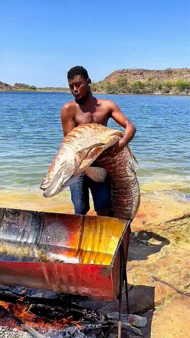 Đối với người dân nơi đây thì loại cá này chỉ để làm mồi nhậu mà thôi...