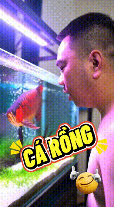 Hỡi các ACE đồng Ngư cùng #Dũngmucsothi điều này có đúng không?  #trendcreator