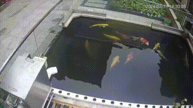 Đang hóa rồng thì lại bị chuột rút :D