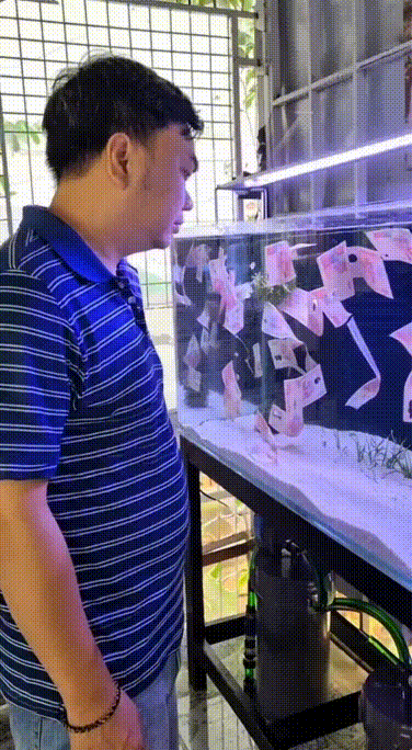 Cùng #Dũngmucsothi tư duy Tích Cực để tạo Động Lực cho cuộc sống