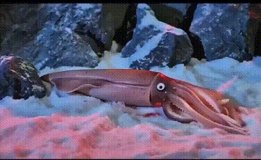 Phim này sao thấy quen quen