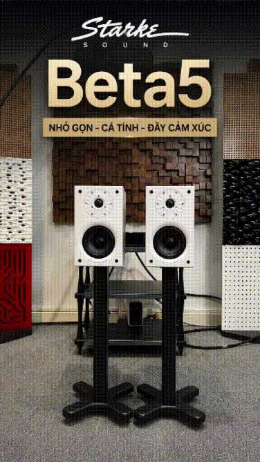 Starke Sound Beta5 – nhỏ gọn nhưng đầy cá tính.