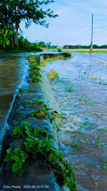 Nước tràn đồng