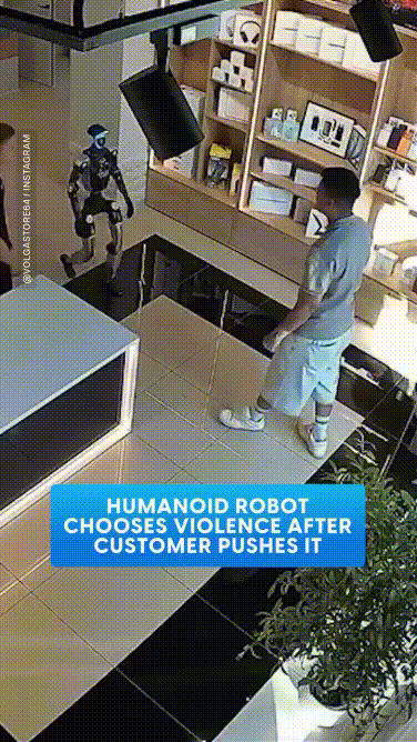 Một robot hình người tấn công con người trong một cửa hàng vì hành vi xô đẩy