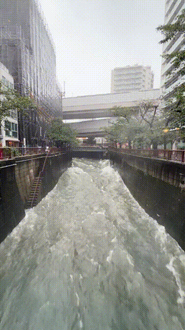 Mưa to ở Tokyo do ảnh hưởng của bão Dujuan