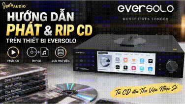 CD không chỉ để nghe – bạn còn có thể biến chúng thành thư viện nhạc số.