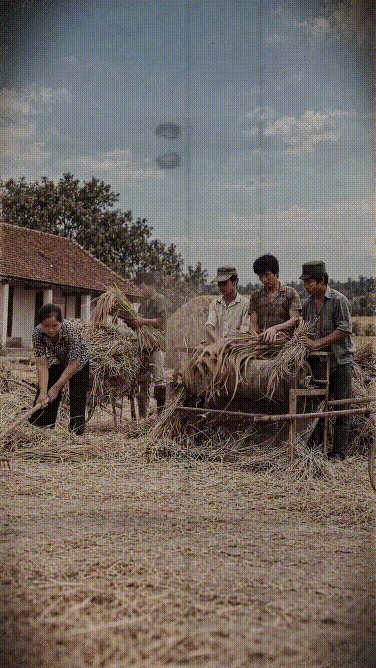 "..Tuổi thơ nhà nông ngày ấy...chắc ai cũng trải qua những cảnh này." Một thời để nhớ..