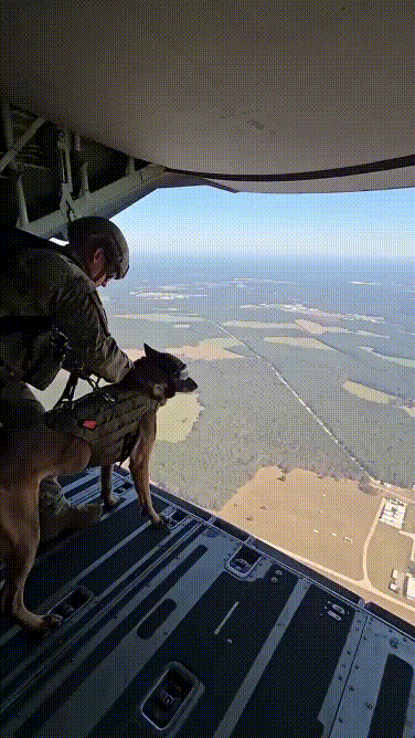 Military K9 JUMPS From C-17
